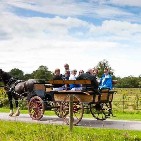 The Rossbeigh By Trident Homes